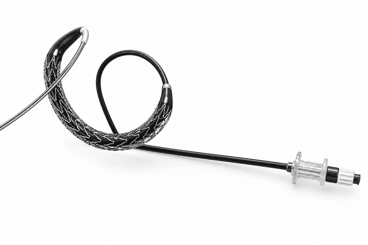 Evera Everolimus Stent