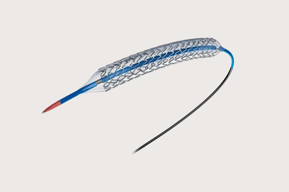 EvroSure Everolimus Stent