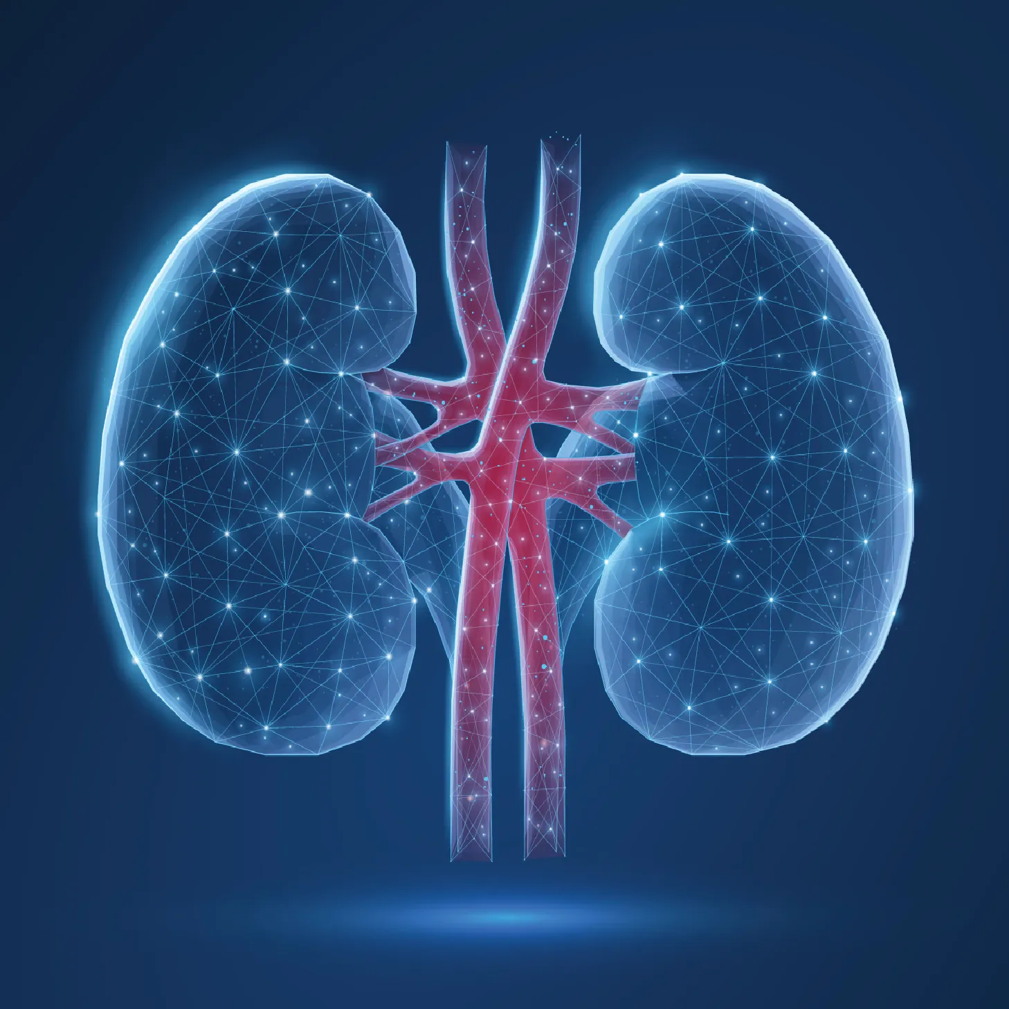 Pulse Renal Care